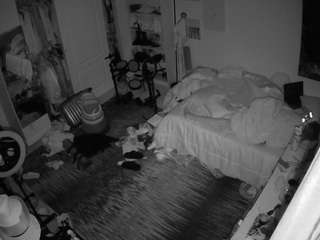 voyeurcam hornyhostel 02